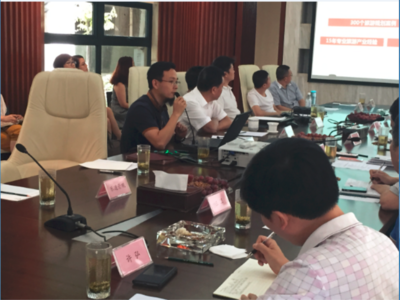 四川眉山田園岷東國際旅游度假區（康養溫泉小鎮）綜合開發項目策劃及概念性規劃